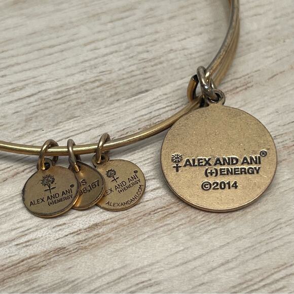 Alex and Ani St Maarten Charm Bracelet - Picture 3 of 3